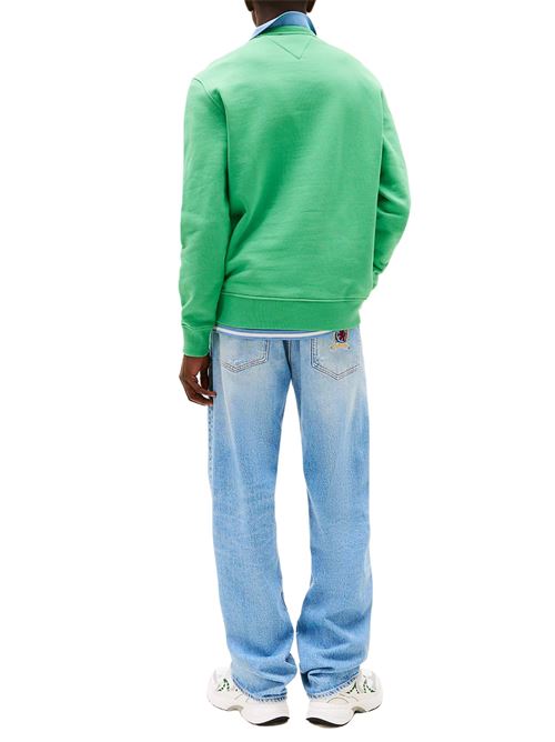Felpa verde in spugna di cotone Tommy Jeans | DM0DM20660LY3